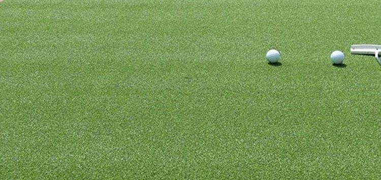PUTTING GREEN ROLL1