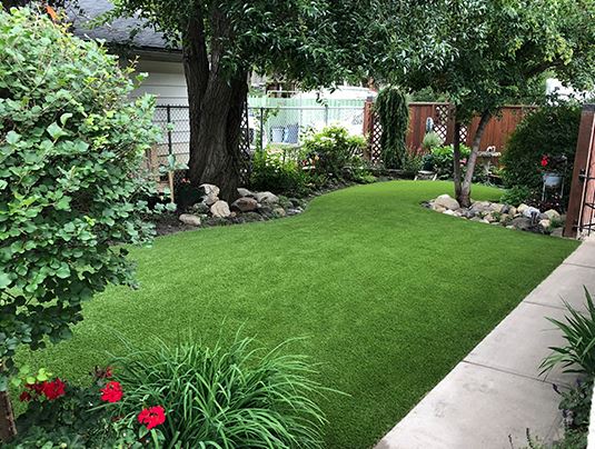 Garden putting green grass