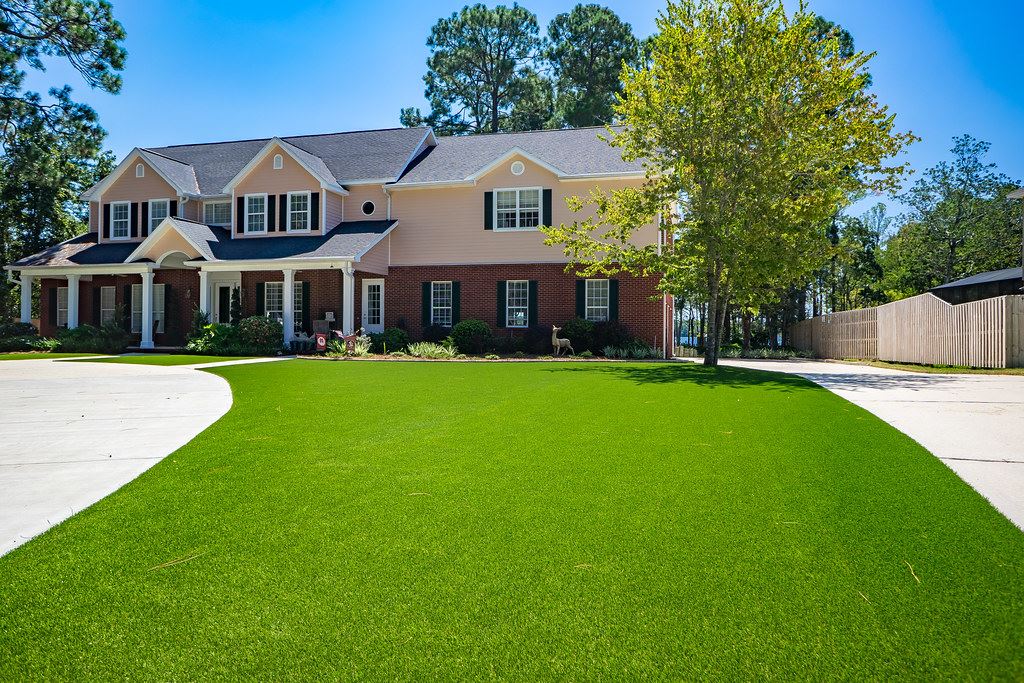 Home front yard  grass