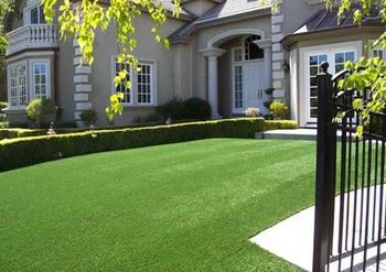 Best Artificial Turf For Rooftop