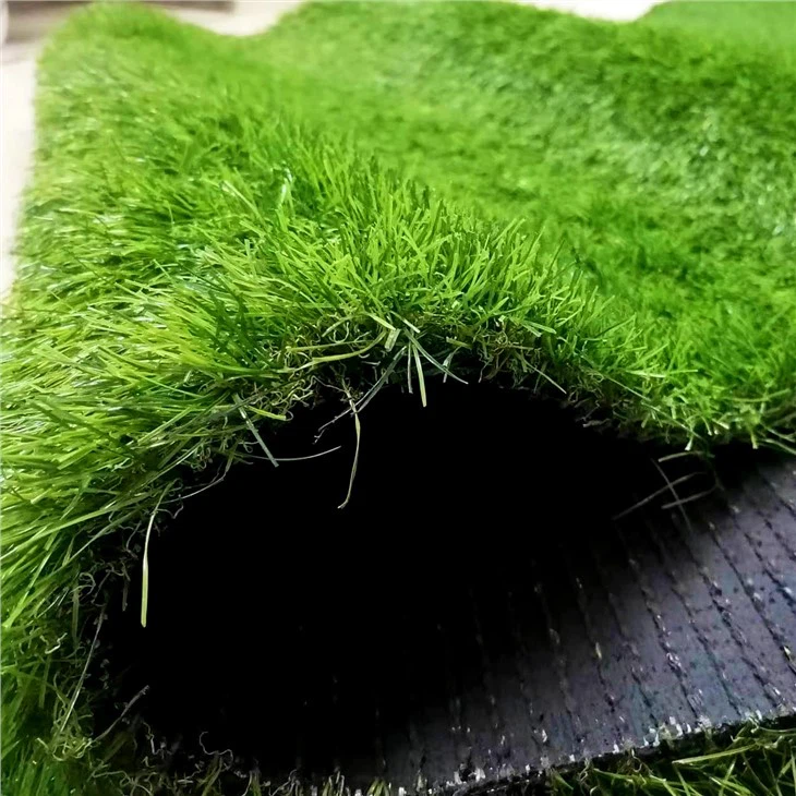 Pet Grass For Balcony