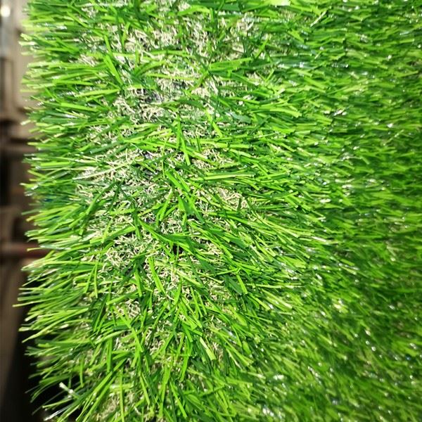autumn grass